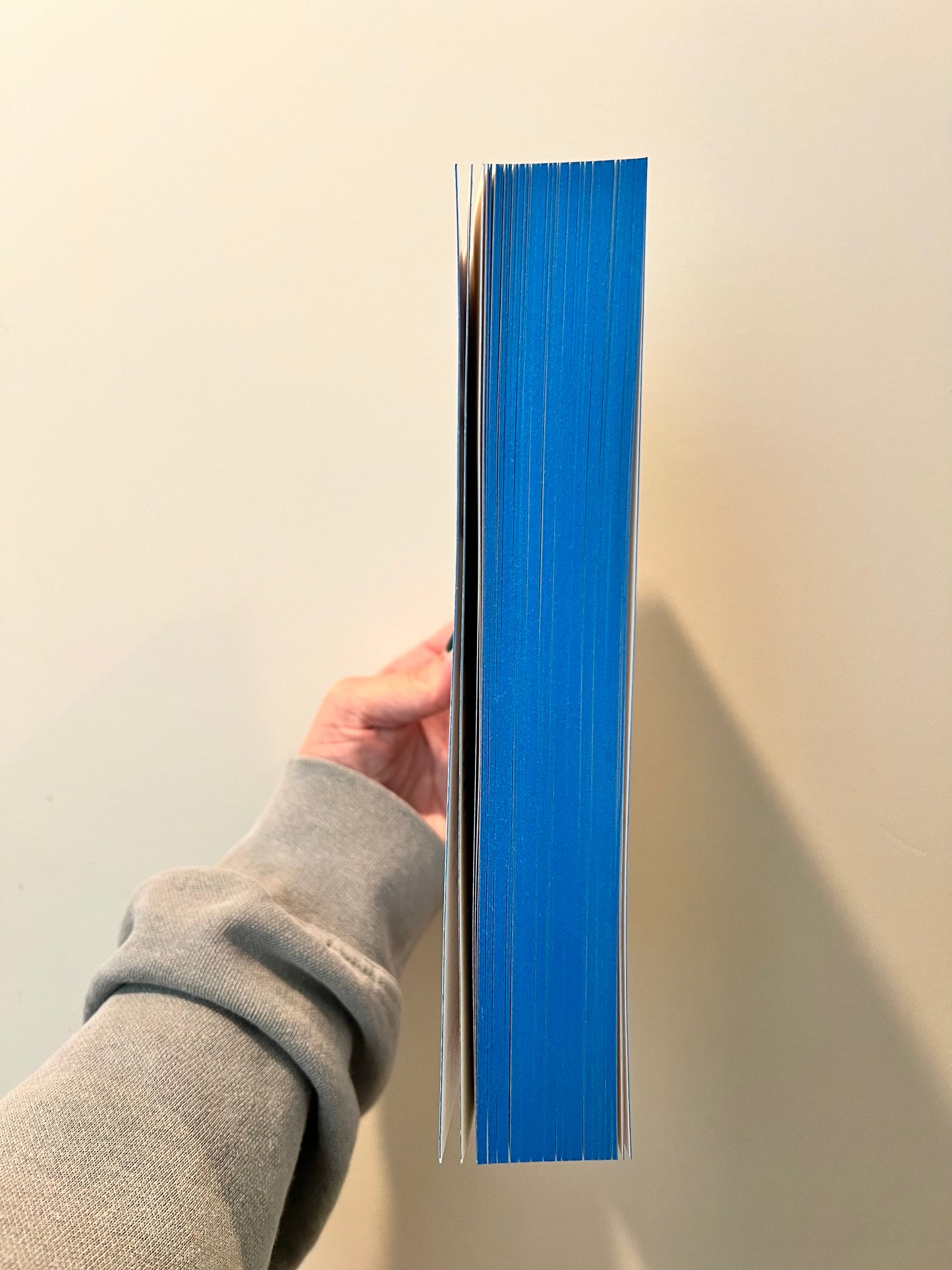 When We Lied Special Edition Paperback