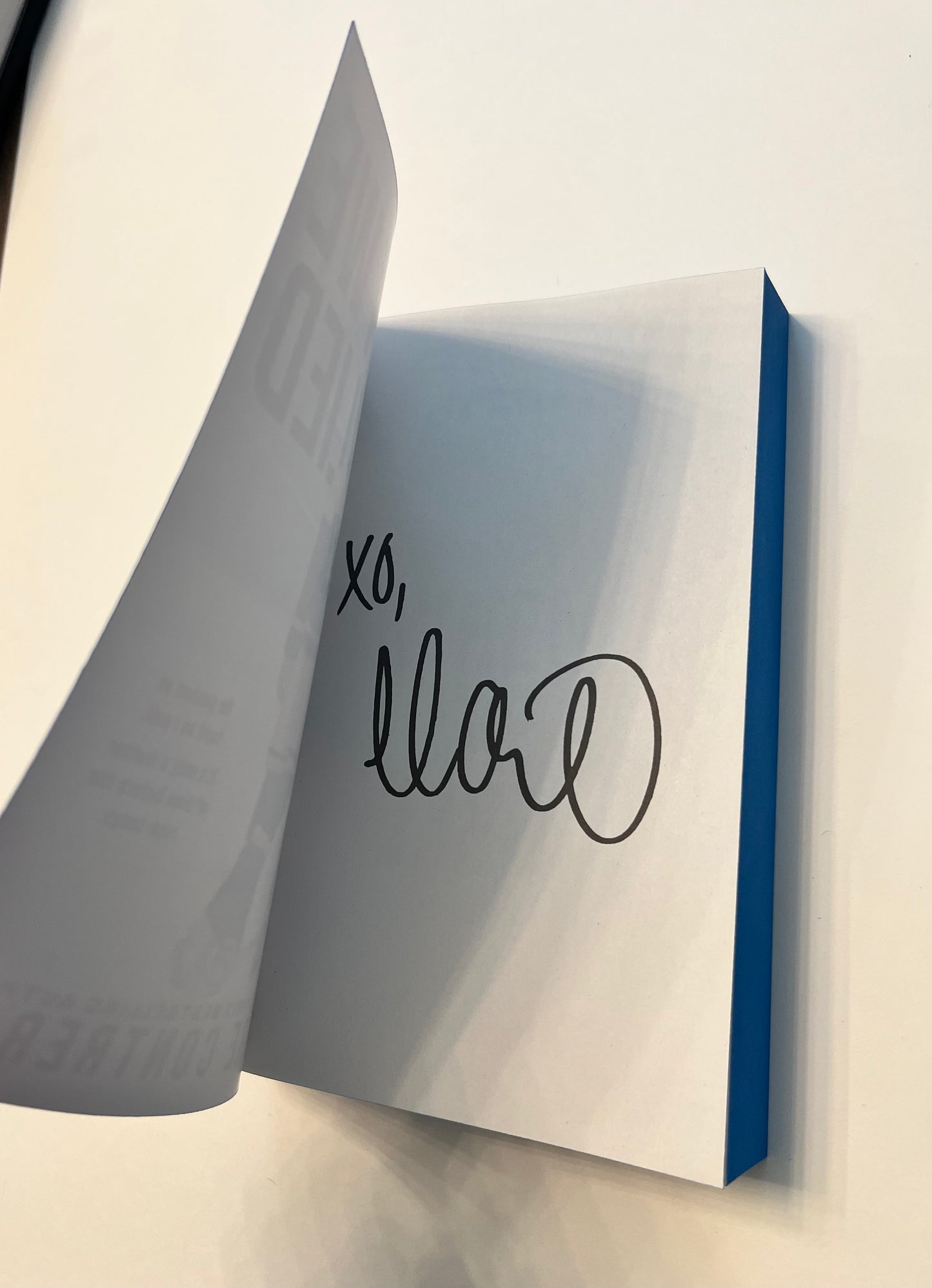 When We Lied Special Edition Paperback