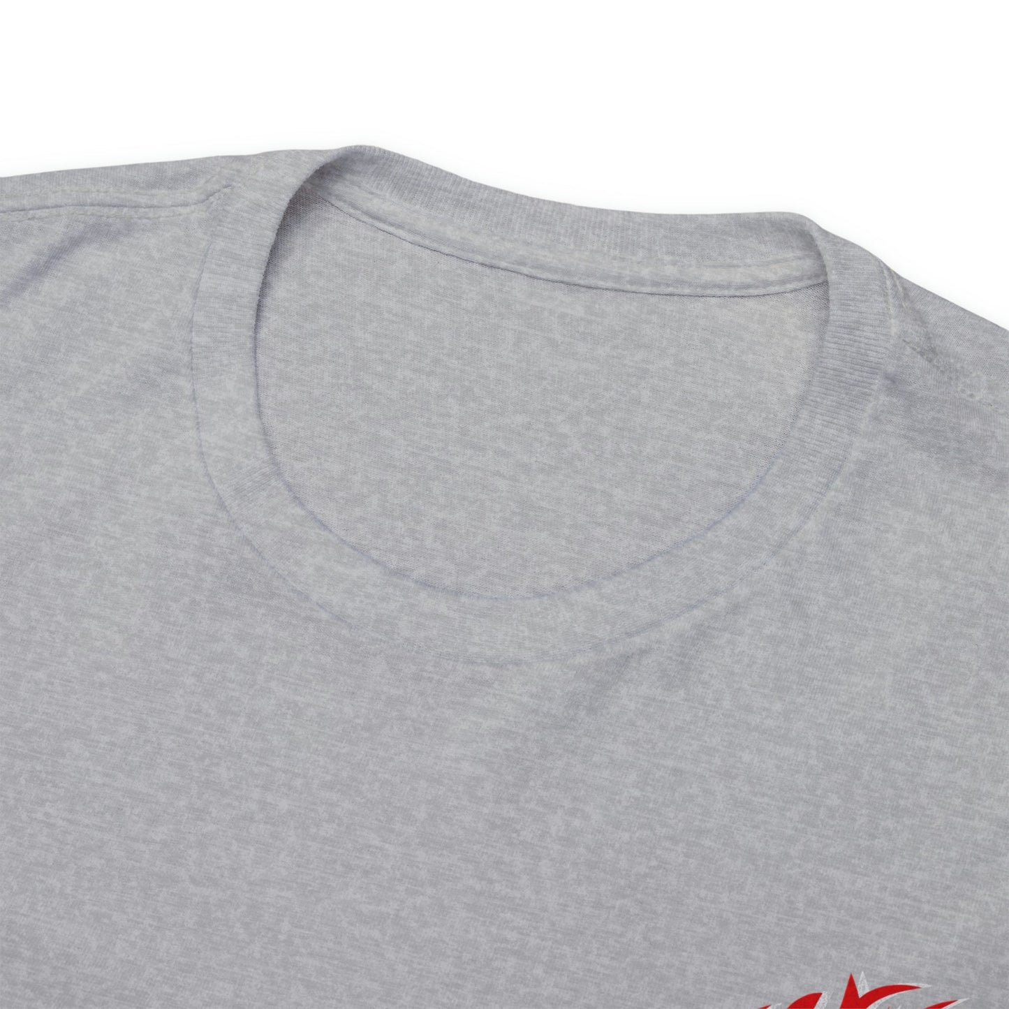 Fairview Blaze Unisex Heavy Cotton Tee